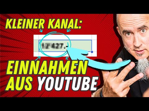 Meine Einnahmen als KLEINER Youtuber im 2025 - hat mich erstaunt (2700 Abos)