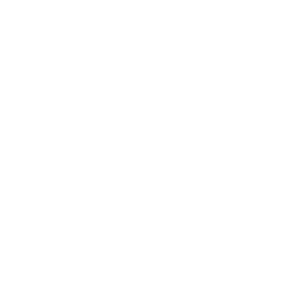 Google Sheets Icon