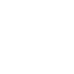 HubSpot Icon