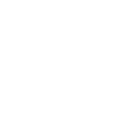 Notion Icon