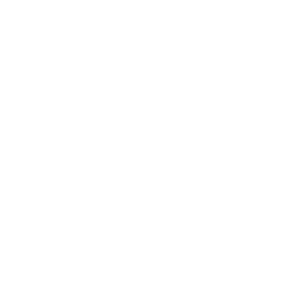 Webhook Icon