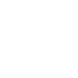WordPress Icon
